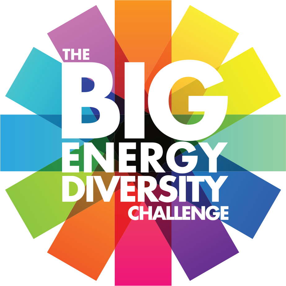 The Big Energy Diversity Challenge